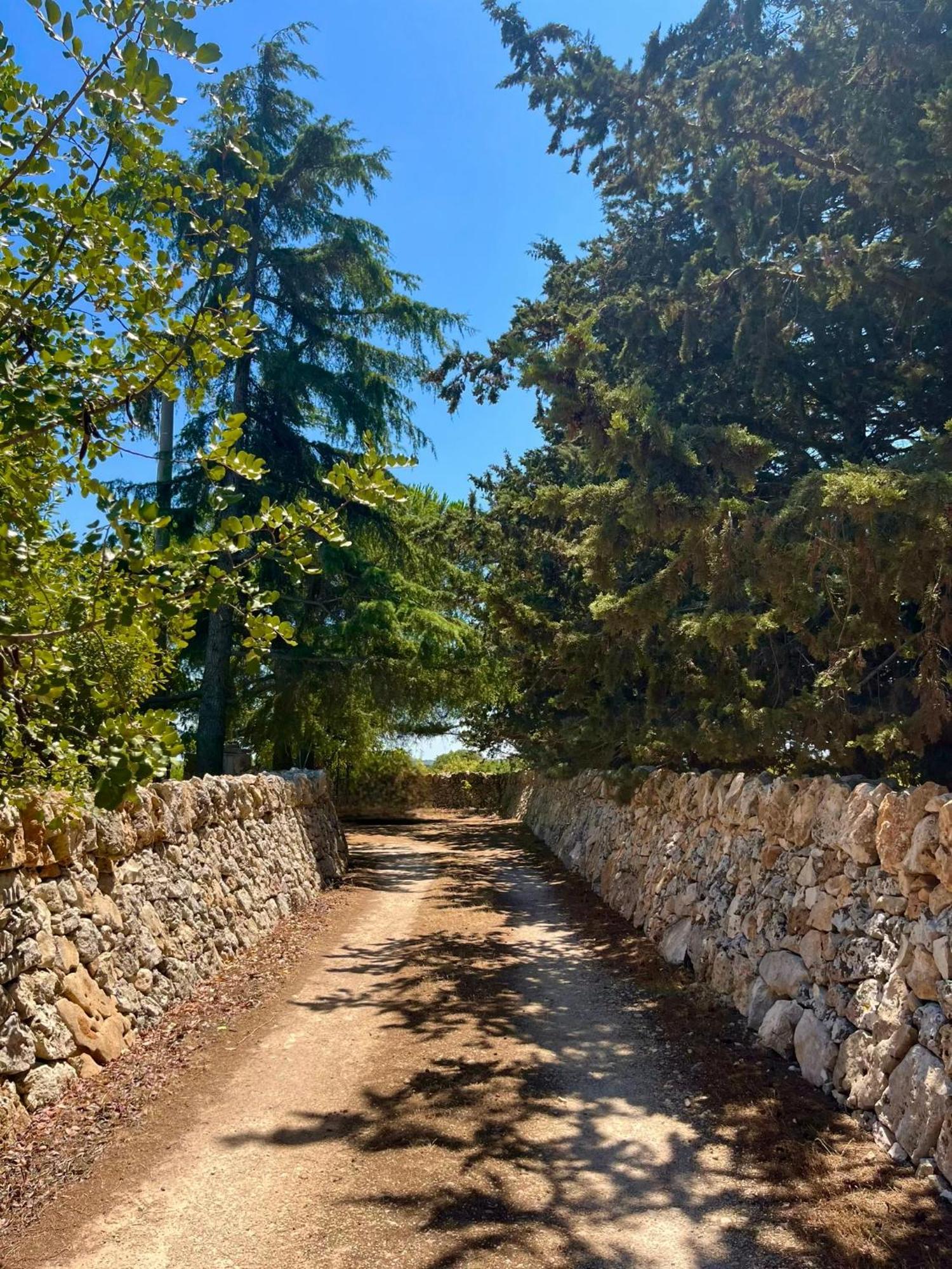 I Trulli Della Naturabio マルティナ・フランカ エクステリア 写真