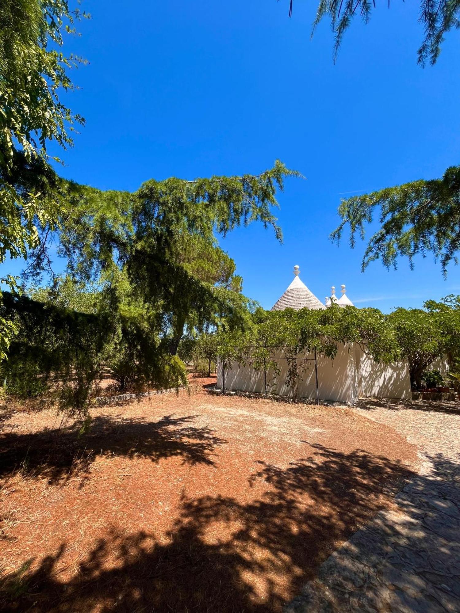 I Trulli Della Naturabio マルティナ・フランカ エクステリア 写真