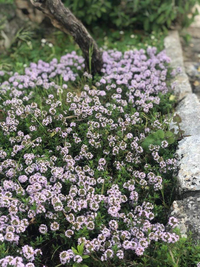 I Trulli Della Naturabio マルティナ・フランカ エクステリア 写真