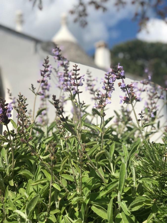 I Trulli Della Naturabio マルティナ・フランカ エクステリア 写真