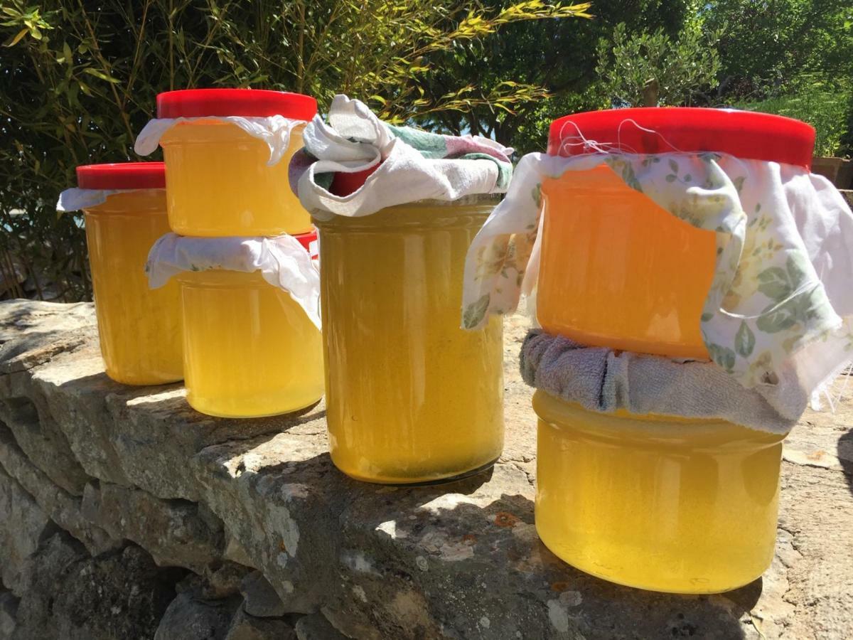 I Trulli Della Naturabio マルティナ・フランカ エクステリア 写真