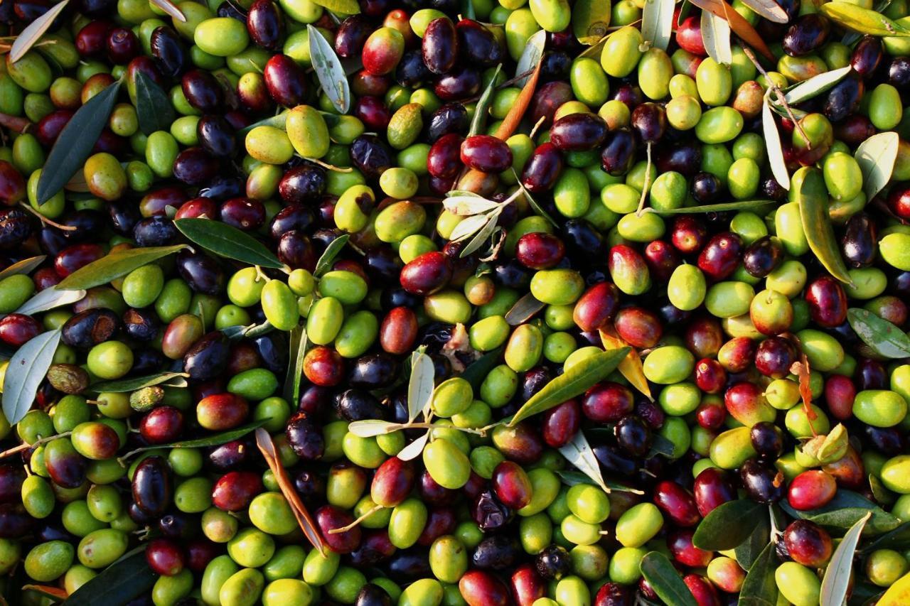 I Trulli Della Naturabio マルティナ・フランカ エクステリア 写真